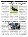 Public Kadata ----15-02-2026 (1)-page-004